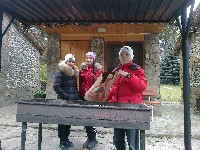 �����������