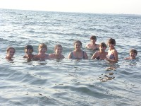 �����������