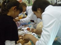 �����������